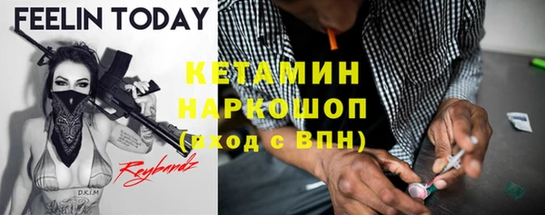 шишки Белокуриха