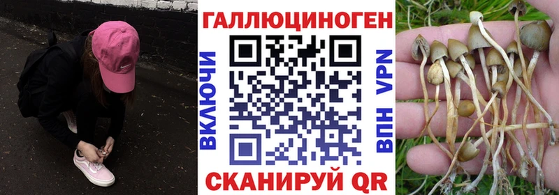 Галлюциногенные грибы мухоморы OMG ССЫЛКА Высоцк